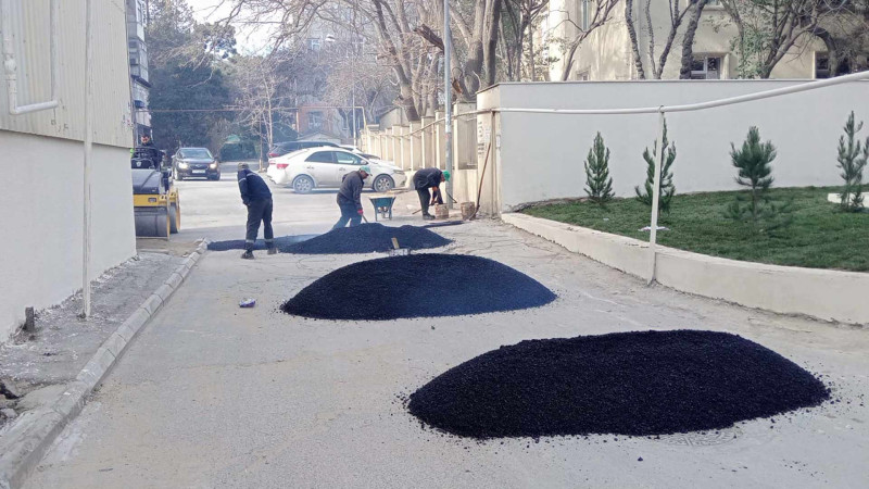 Taras Şevçenkonun heykəlinin olduğu park təmir olunur