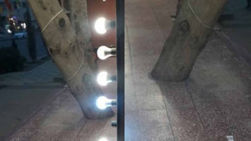 Xətaidəki ağacın dibi təmizlənib – YENİLƏNİB – FOTO