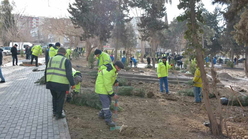 Xətaidə 500-dən çox ağac əkilib