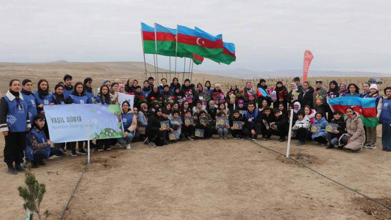 Müşfiqabad qəsəbəsində Eldar şamı və zeytun ağacları əkilib