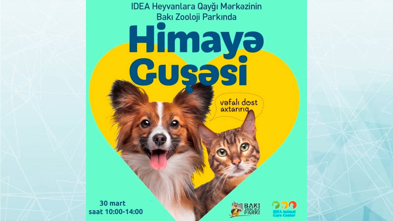 Zooparkda növbəti “Himayə Guşəsi” sərgisi baş tutacaq