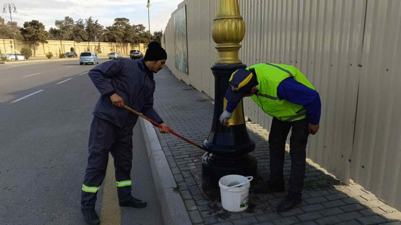 Səbail rayonunda iməcilik keçirilib