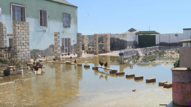 Xəzər rayonunda insanlar çirkab suyun içində yaşayırlar