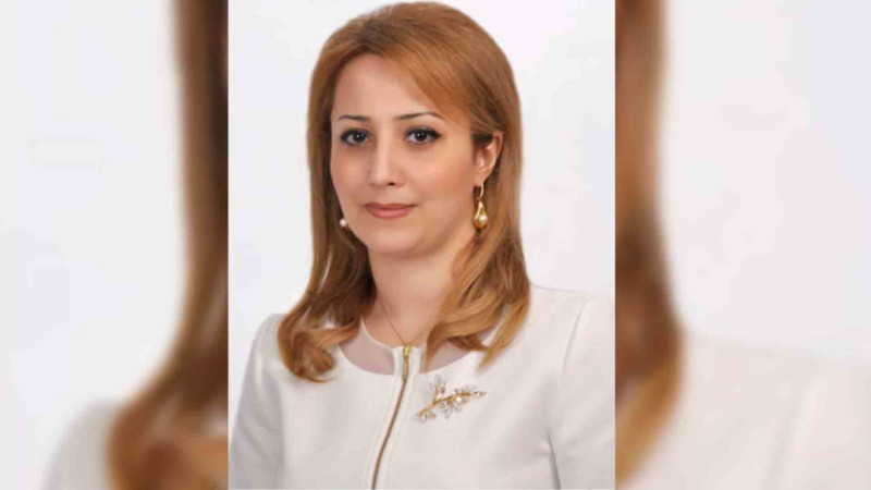 Nizami Rayon İcra Hakimiyyətində kadr dəyşikliyi olub