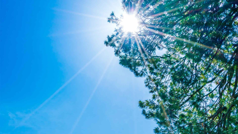 Bakıda havanın temperaturu qalxır