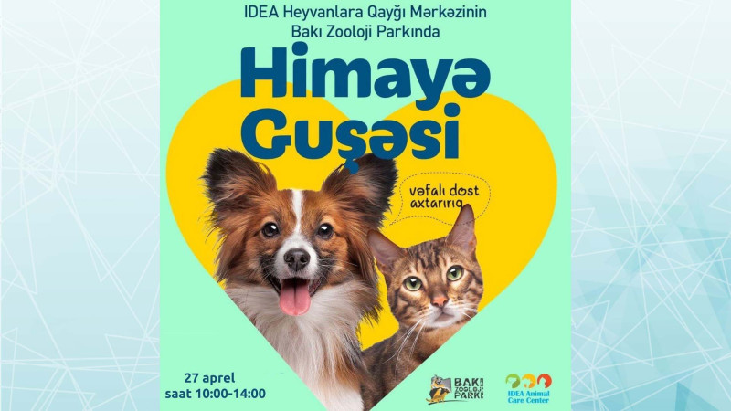 Bakı Zooloji Parkında növbəti “Himayə Guşəsi” keçiriləcək