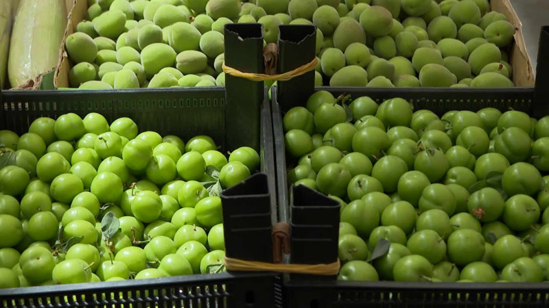 Bakı bazarlarında alçanın qiymətləri kəskin enib