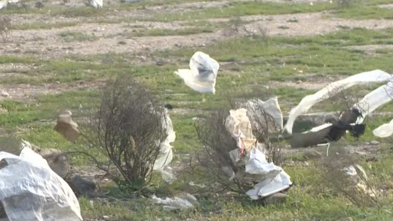 Binə – Qala yolunun ətrafı zibil poliqonuna çevrilib