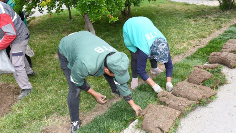 Bakıda ümumşəhər iməciliyi baş tutub