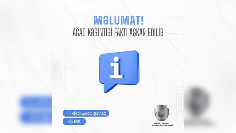 Nərimanovda obyekt sahibi qanunsuz ağac kəsib