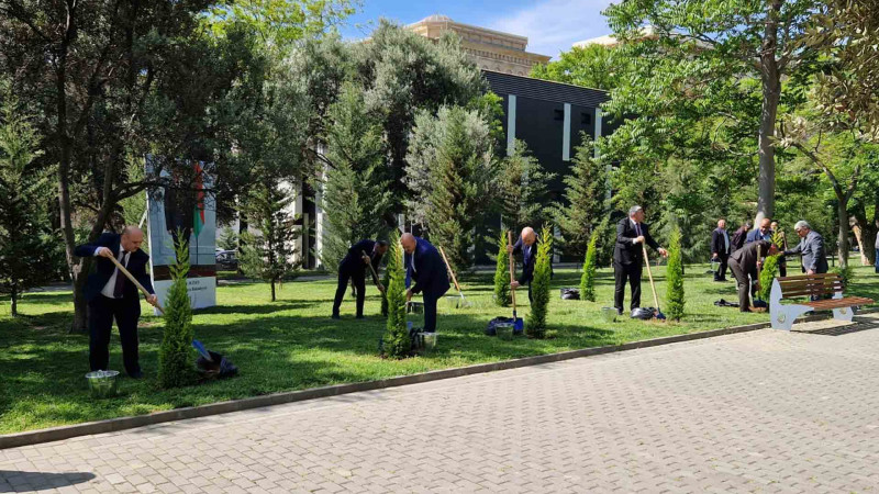 Heydər Əliyevin doğum gününə həsr olunmuş ağacəkmə aksiyası keçirilib