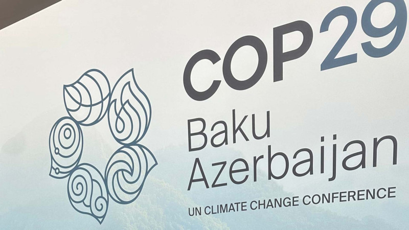 İlham Əliyev bir sıra ölkə başçılarını COP29-a dəvət edib