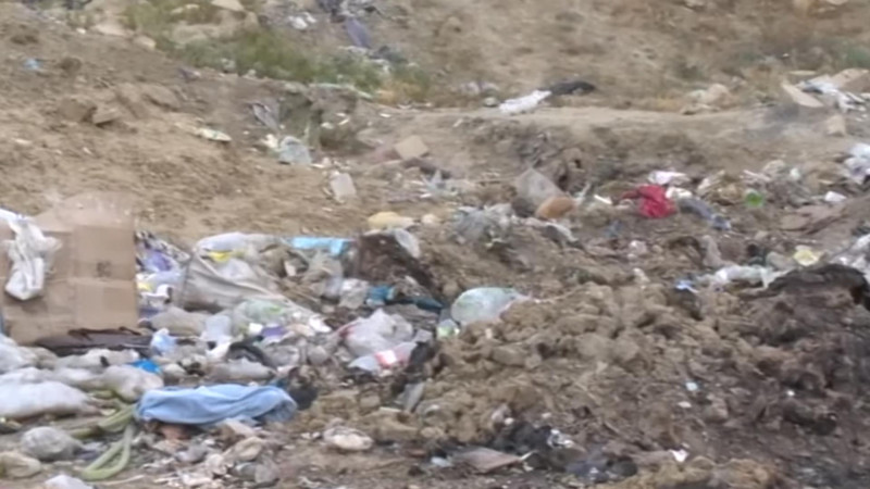 Qızıldaş qəsəbəsində zibil əlindən yaşamaq mümkün deyil