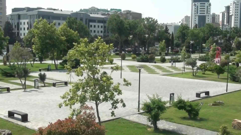 Nəbatat parkı və Dendroparkın təmiri nə vaxt bitəcək?