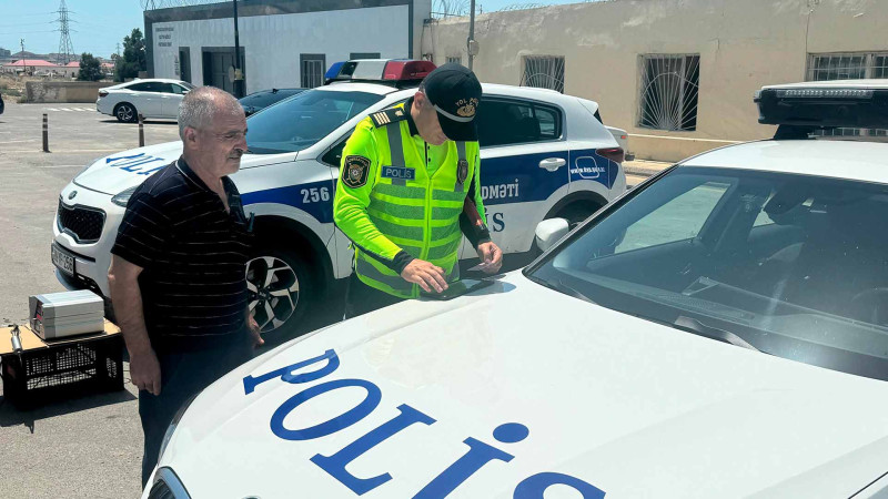 Qaradağda “Təmiz hava” aylığı çərçivəsində reyd keçirilib