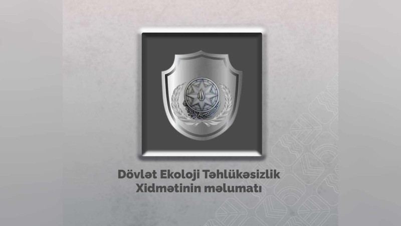 Yasamalda ağacların qanunsuz kəsilmə faktı qeydə alınıb