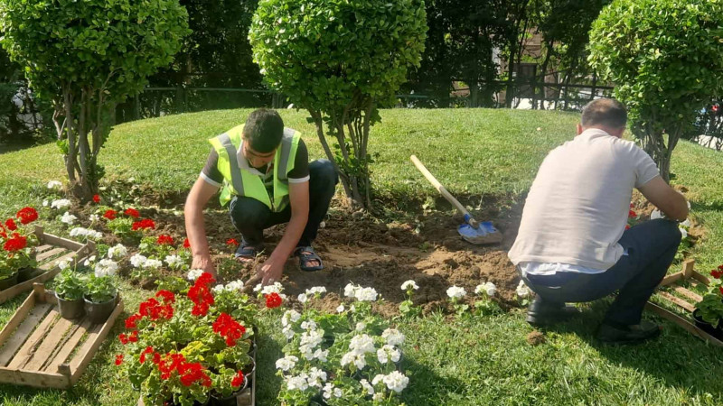 Nəsimidə küçəyə güllər əkilib