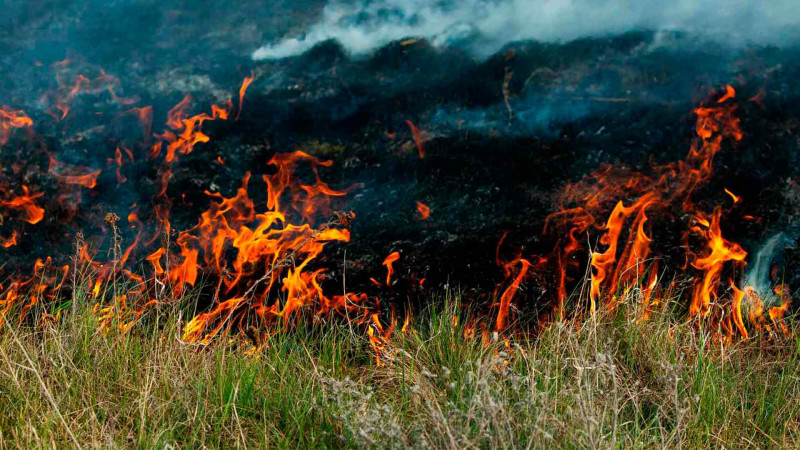 Binəqədi rayonunda həyatyanı ərazidə yanğın olub