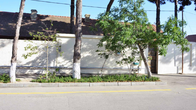 Pirallahıda “Yaşıl dünya naminə həmrəylik ili” çərçivəsində tədbirlər keçirilib