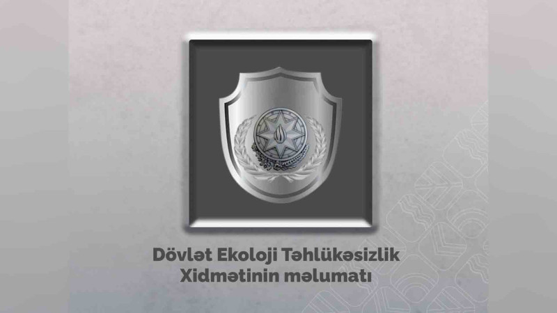 Nəsimidə qanunsuz ağac kəsən şirkətlər barəsində tədbirlər görülür