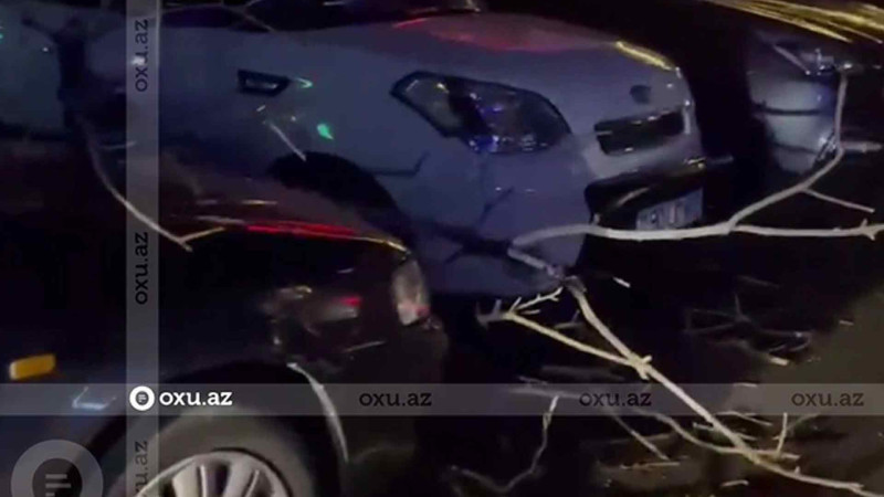 Bakıda küləyə görə ağac qırılıb