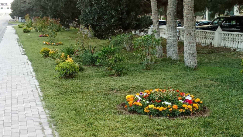 Xəzərdə genişmiqyaslı abadlıq işlərinə başlanılıb