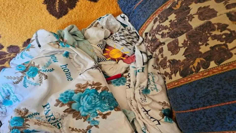 Nəsimidə kafedə tapılan körpənin əkizi olubmuş