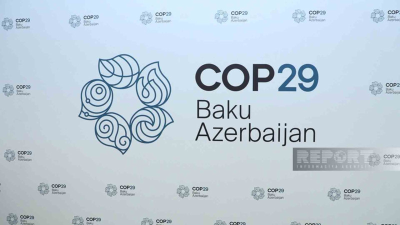 COP29 iştirakçıları üçün viza müraciət sistemi aktiv olub