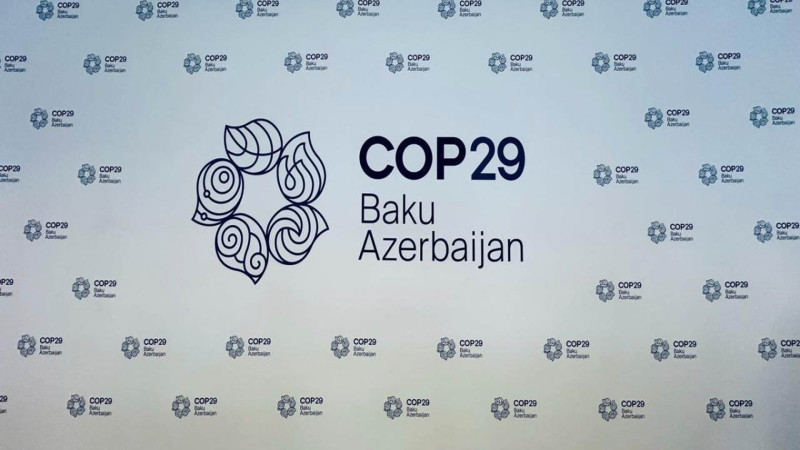 COP29 könüllülük proqramı üzrə müsahibələrə yekun vurulub