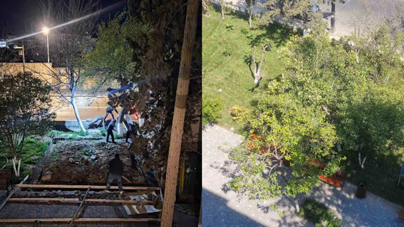 Sakinlər etiraz ediblər, məhv olunmuş park yenidən salınıb – VİDEO