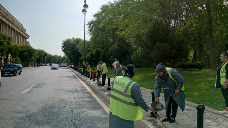 Nəsimi rayonunda təmizlik-abadlıq işləri aparılıb