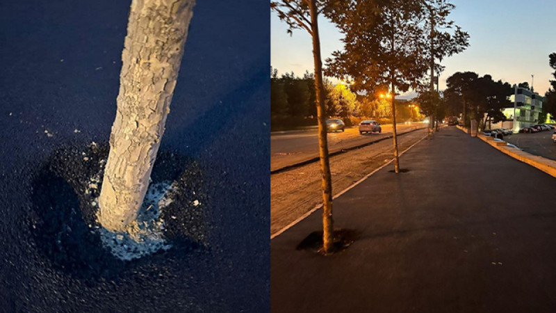 Əhməd bəy Ağaoğlu küçəsindəki vəziyyət sakinlərin narazılığına səbəb olub