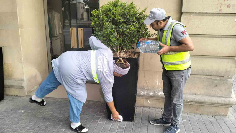 Səbail rayonunda iməcilik keçirilib