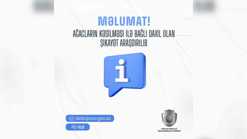 Yasamalda ağaclar kəsilib: cinayət işi hazırlanır