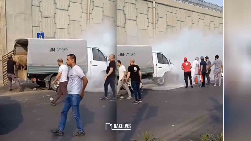 Qoyunları daşıyan avtomobil qəzaya uğrayıb – VİDEO