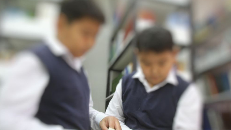 Elektron yerdəyişmə: “Direktor əkizlərdən birini qəbul etmədi”