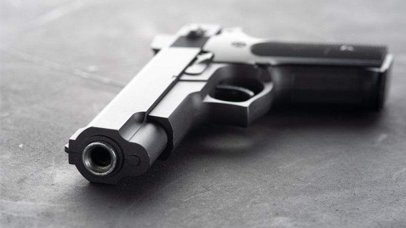 Ölkə ərazisində vətəndaşlar könüllü olaraq polisə silah-sursat təhvil veriblər