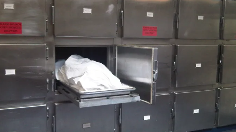 Bakıda mənzildə meyit aşkarlanıb