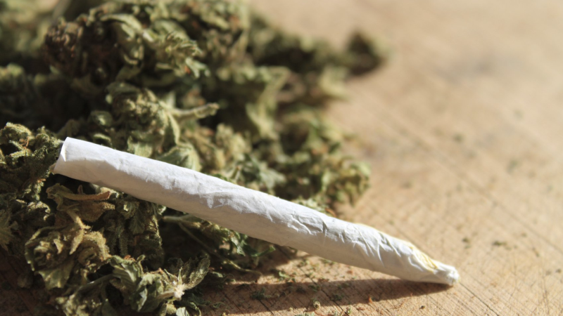 Paytaxt ərazisində narkotacirlar saxlanılıb