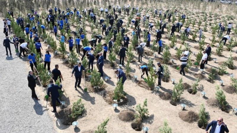 Nərimanovda Anım Günü ilə əlaqədar ağacəkmə aksiyası keçirilib