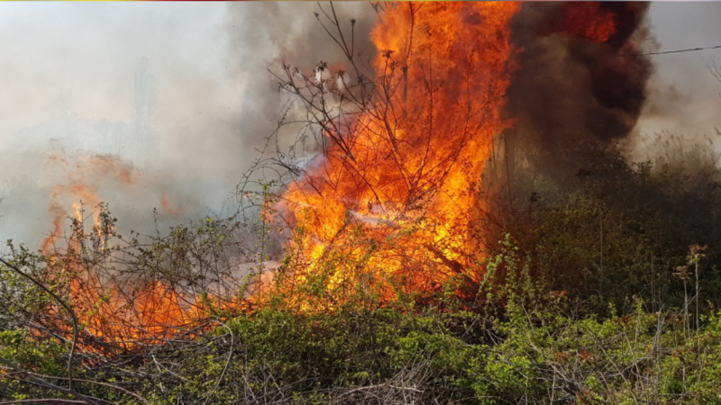 Suraxanıda açıq sahədə yanğın başlayıb