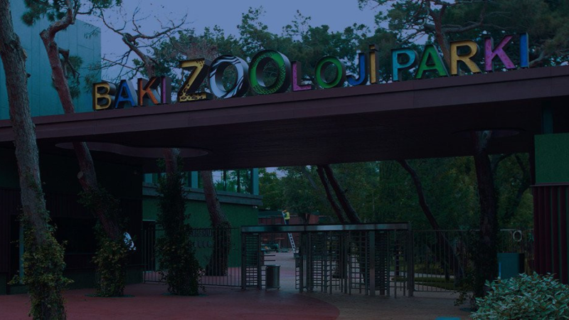 Zooparkda “Gecə turu” keçiriləcək
