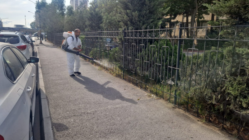 Bakıda yaşıllıqlara qulluq göstərilib