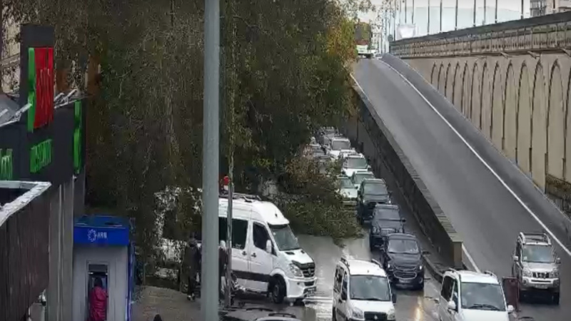 Xətaidə ağac aşdı, təhlükə yarandı