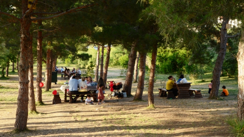 Xətaidəki Nizami parkında acı mənzərə - VİDEO