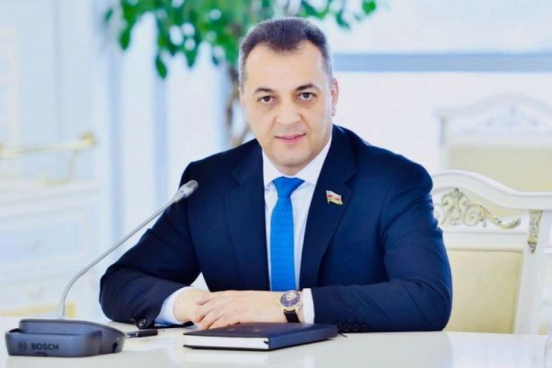 Deputat əsəbiləşdi: “Sosial şəbəkələr cəngəllik qanunları ilə idarə olunur”