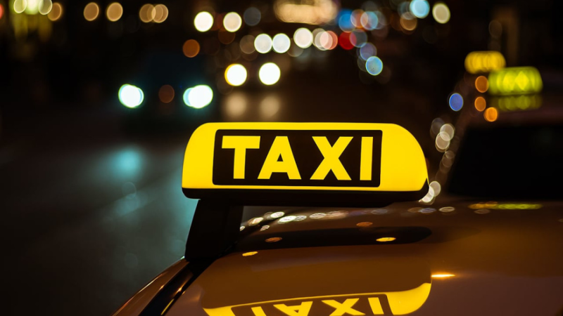 Məleykə Abbaszadənin adından istifadə edən sürücü həbs edildi