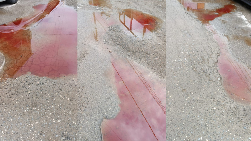 Xətainin kanalizasiyaya görə “qan ağlayan” sakinləri - ŞİKAYƏT + FOTO 