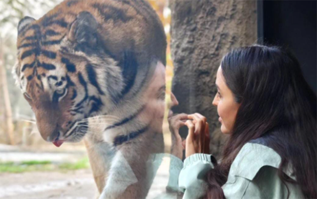 Leyla Əliyeva Bakı zooparkından paylaşım etdi