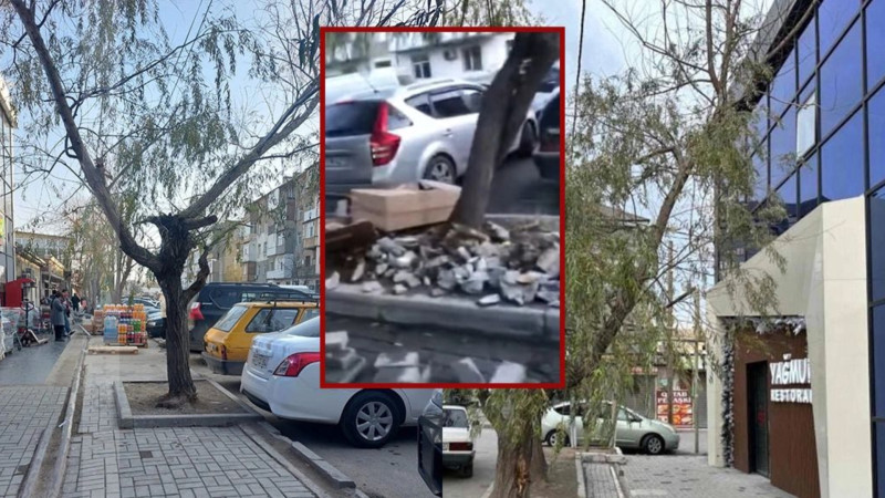 Biləcəridə səkilər zibilliyə çevrilib, ağaclar qurudulub - Rəsmi qurumdan iddiaya CAVAB 